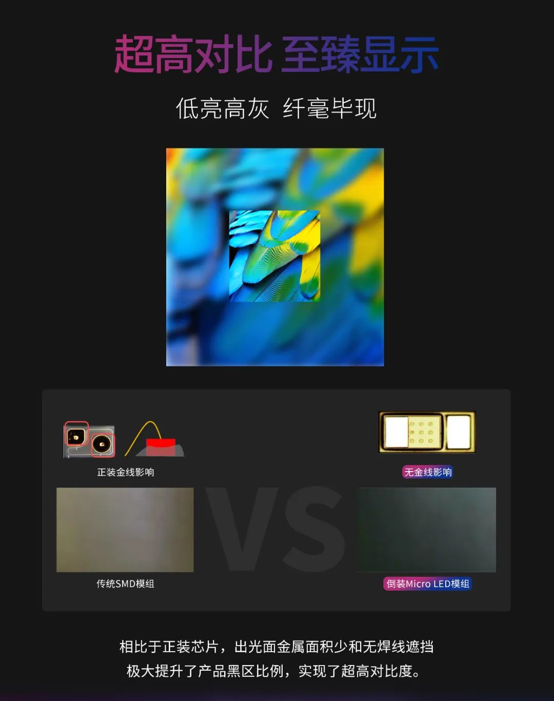 一期一会 | 一图读懂米兰·利晶MIP新品系列